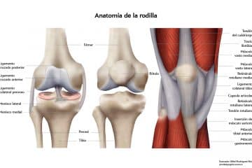 Ankle Arthroscopy Surgery