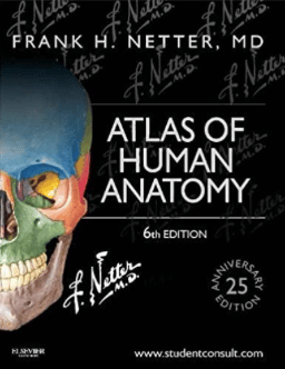 Best Books For Anatomy