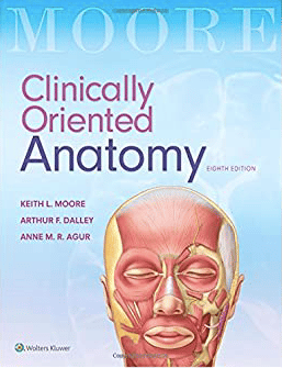 Best Books For Anatomy