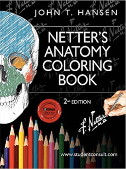 Best Books For Anatomy