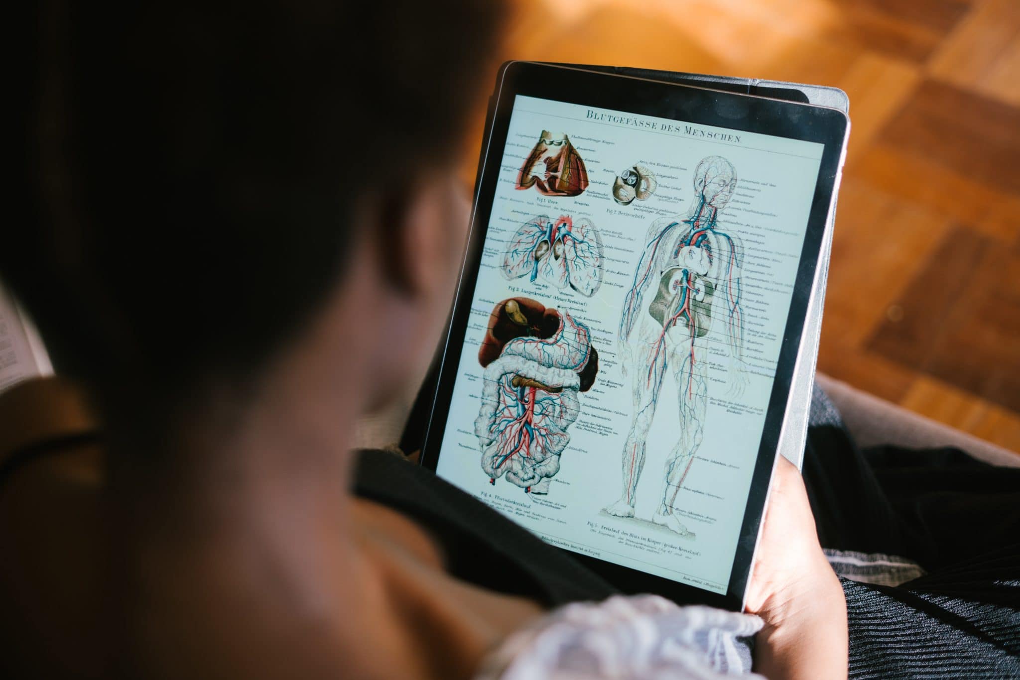 10 of the Best Books For Anatomy Biology Diagrams